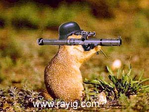 ilmiop��up���